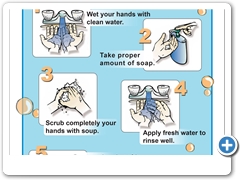 Steps of hand wash